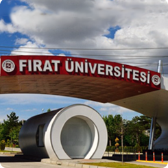 Elazığ Fırat Üniversitesi Taksi