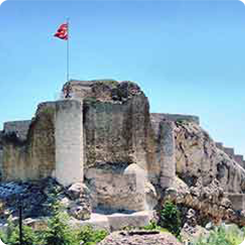 Elazığ Vilayet Taksi